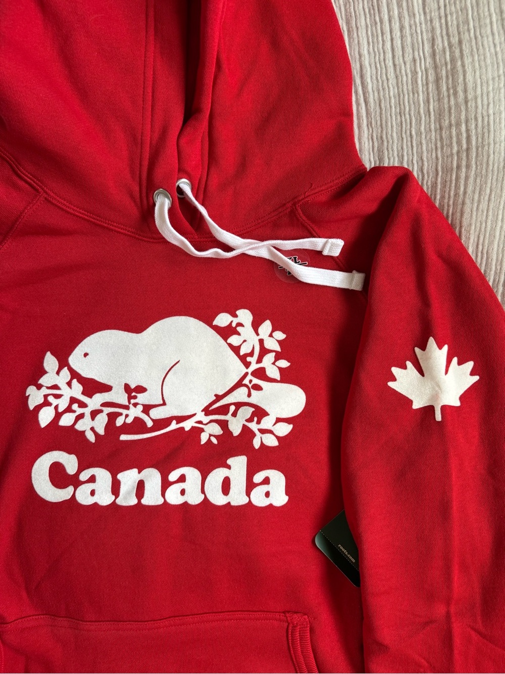 ROOTS Cooper Canada Kanga Hoodie in Sage Red (Unisex) - Picture 3 of 8